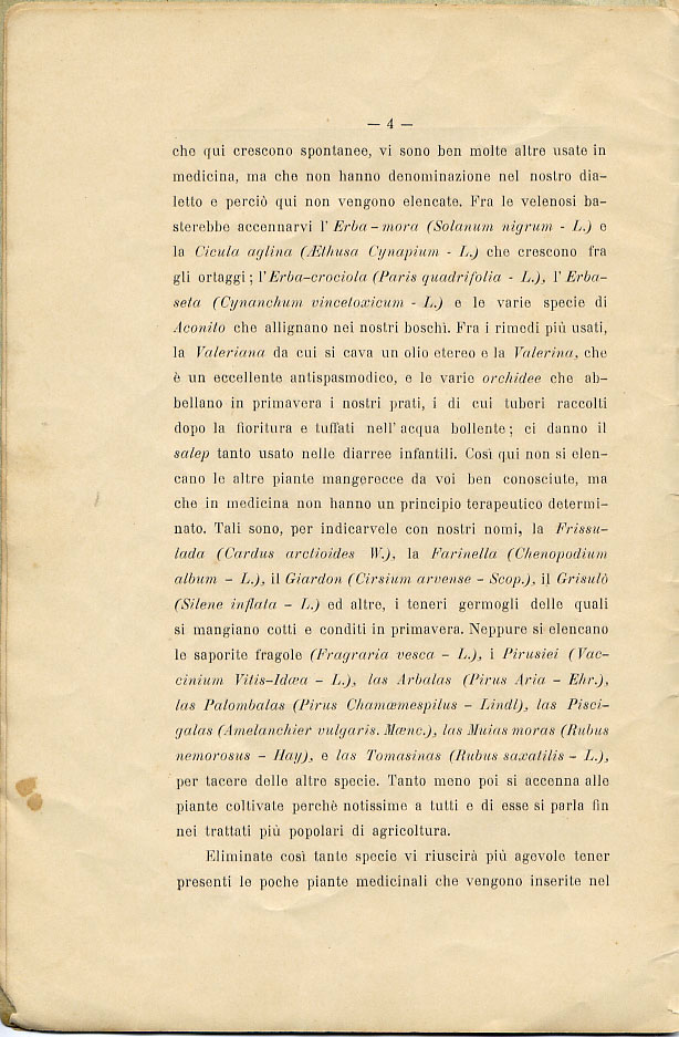 Piante medicinali